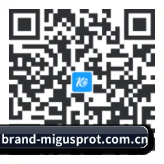 系统版 iOS 二维码
